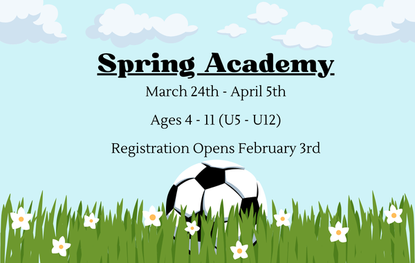 Spring Academy is Back!