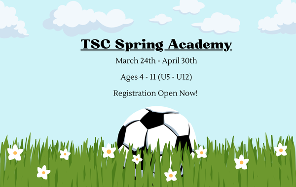 Spring Academy is Back!